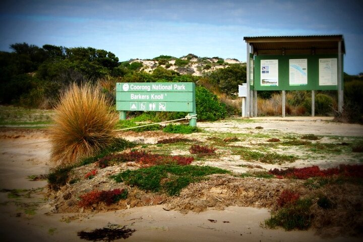 Coorong Discovery Cruise and Tour - Image 4