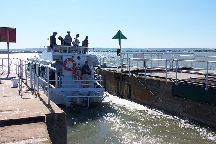Coorong Discovery Cruise and Tour - Image 2