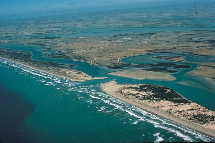 Coorong Discovery Cruise and Tour - Image 3