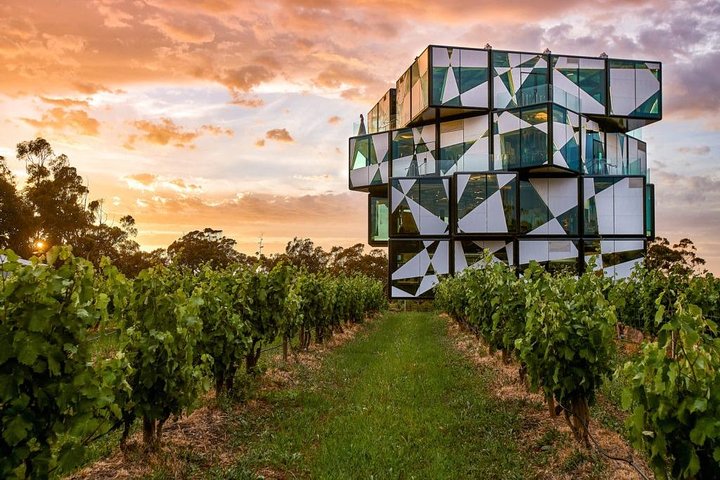 d'Arenberg Cube / McLaren Vale Regional Tour - Image 1