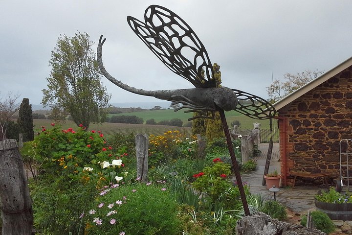 d'Arenberg Cube / McLaren Vale Regional Tour - Image 4