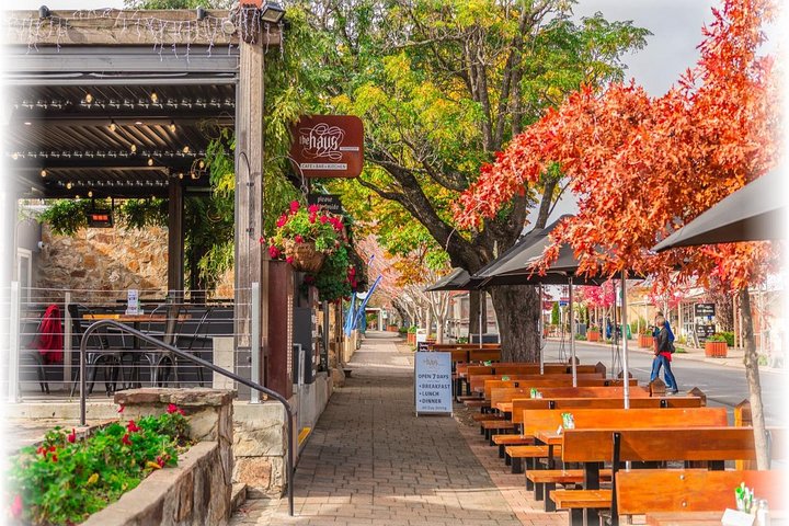 McLaren Vale Wine Region via Hahndorf Full-Day Tour from Adelaide - Image 3