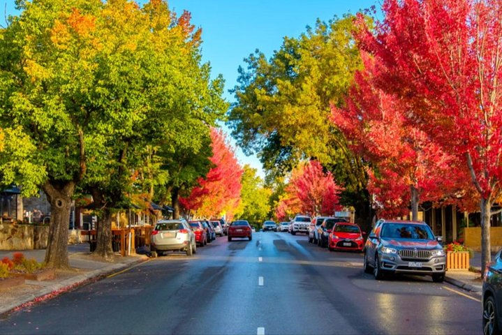 McLaren Vale Wine Region via Hahndorf Full-Day Tour from Adelaide - Image 5