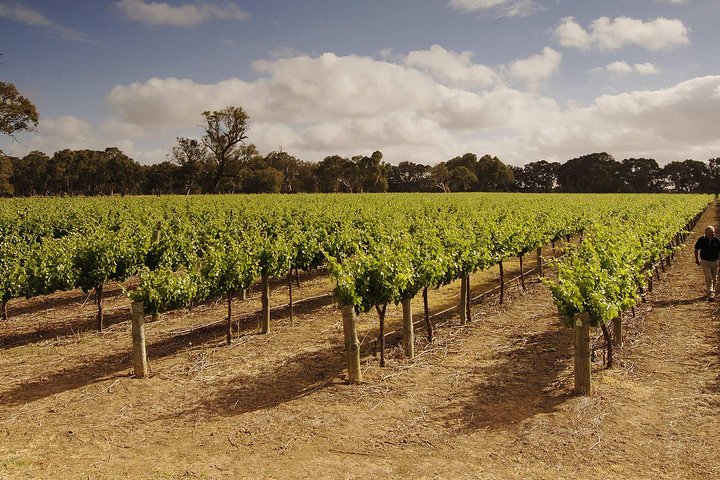 Private Langhorne Creek Wine Region Tour from Adelaide - Image 1