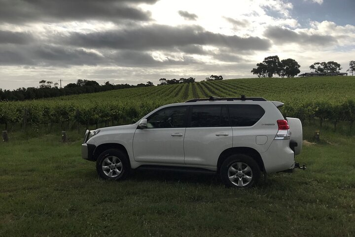 Private Wine Tours McLaren Vale and Surrounding Areas - Image 5