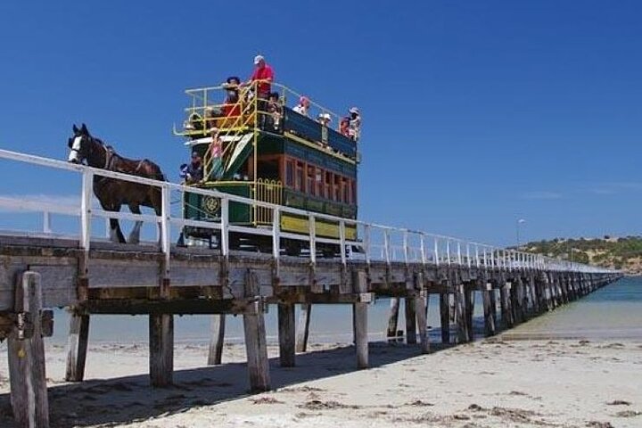 Victor Harbor and Fleurieu Peninsula Tour - Image 5