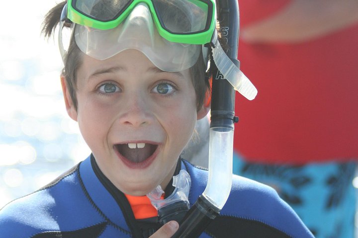 Wild Dolphin Watch Cruise - Image 2