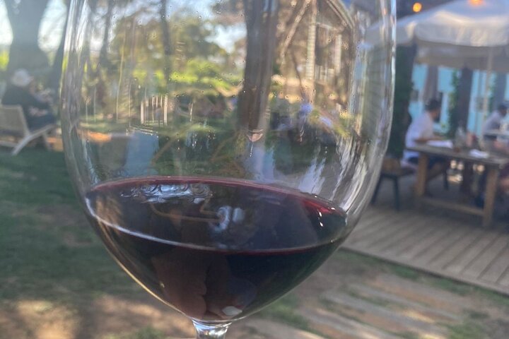 Wine Tasting in McLaren Vale - Image 5