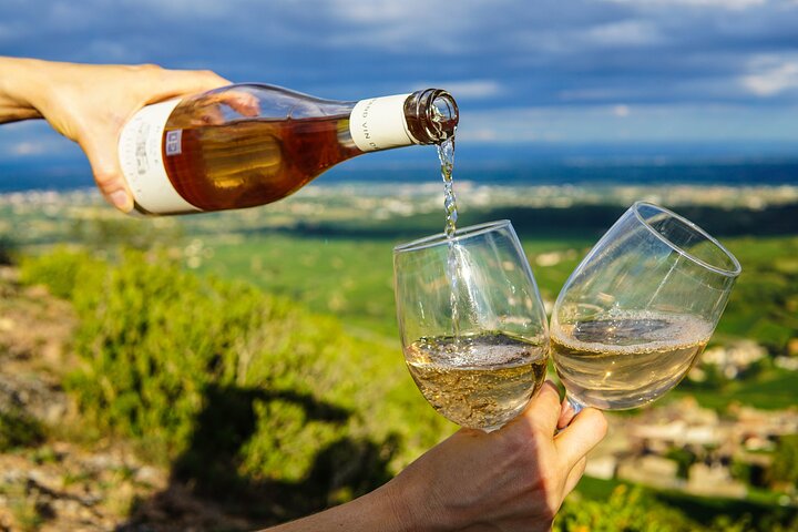 Wine Tasting in McLaren Vale - Image 2