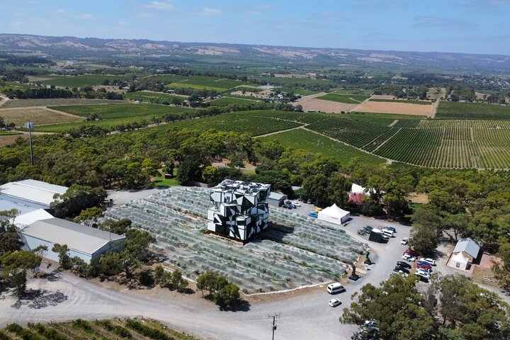 Wine Tasting in McLaren Vale - Image 4