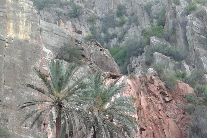 1/2 DAY trip Paradise Valley + breakfast withlocal familly - Image 4