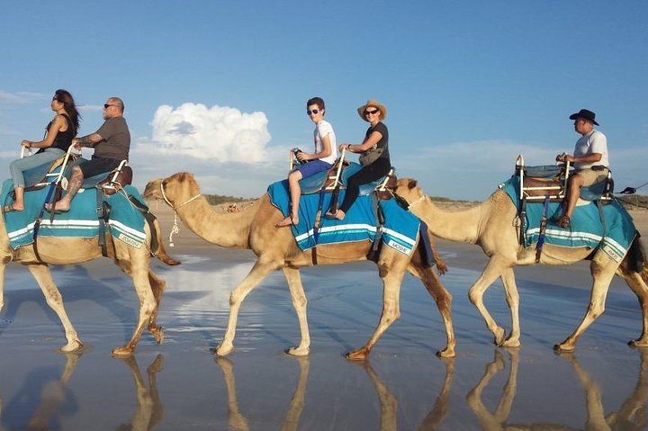 2 Hour Camel Ride From Agadir or Taghazout - Image 2