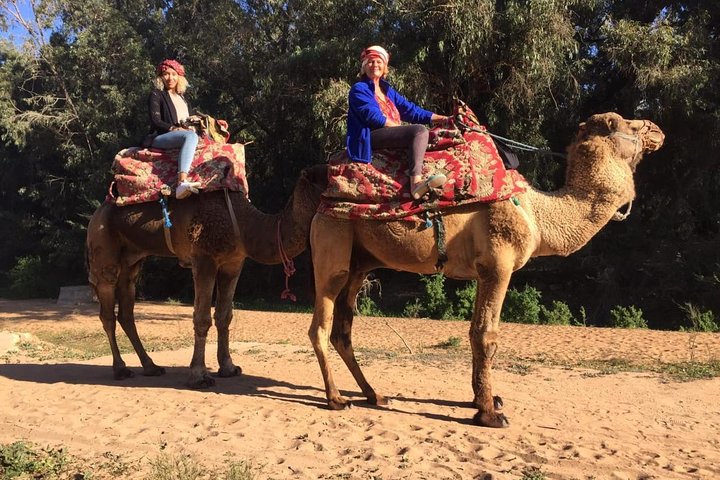 2 Hours Camel Ride In Agadir - Image 2
