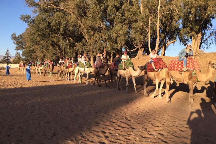 3 activity in one day in agadir :crocoparc + city tour & cable car + camel ride  - Image 5