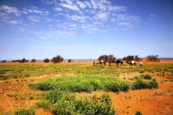 3-Day Private Morocco Desert Tour from Agadir to Erg Chigaga Dunes - Image 3