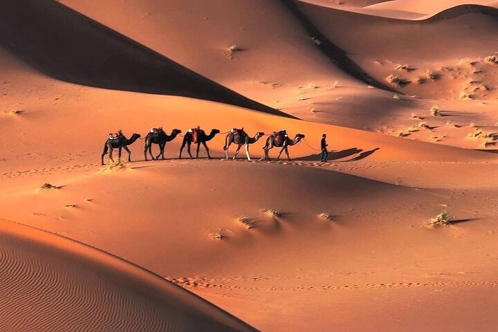 3 days Desert Tour from Agadir to Merzouga Dunes & Camel Trek - Image 5
