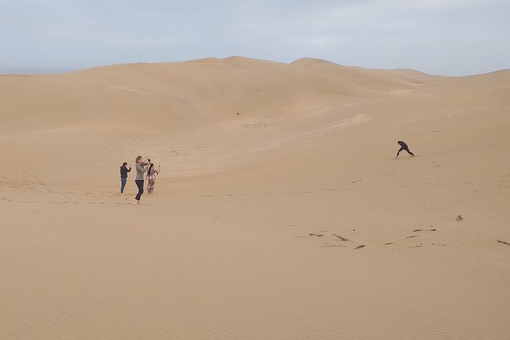 4 hours.Agadir : Trip to Sahara and tifnit fishing village  - Image 3