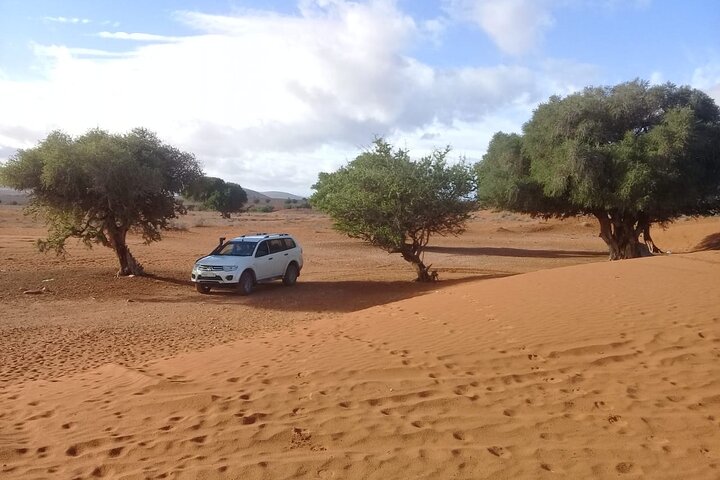 4×4 Wild Nature Private Half Day Trip - Image 2