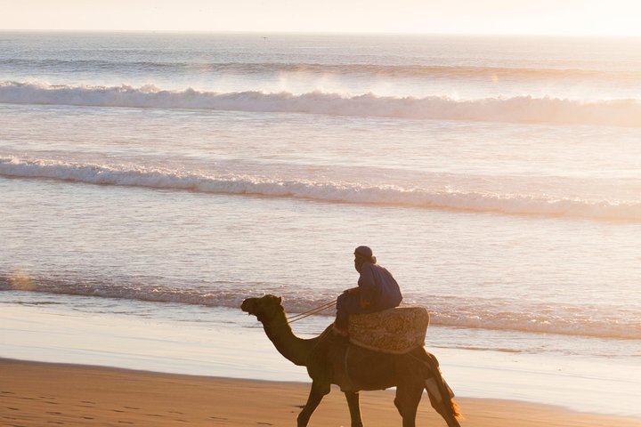 Agadir : 2-Hour Camel Ride Experience - Image 1