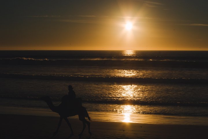 Agadir : 2-Hour Camel Ride Experience - Image 4