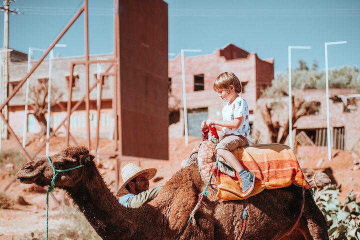 Agadir : 2-Hour Camel Ride Experience - Image 3