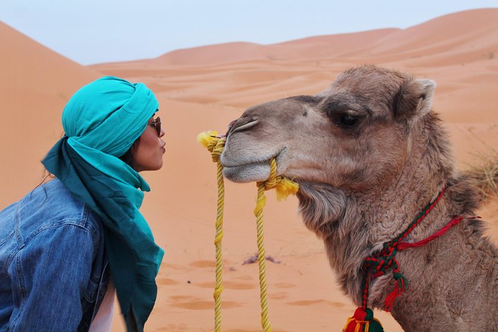 Agadir : 2-Hour Camel Ride Experience - Image 2