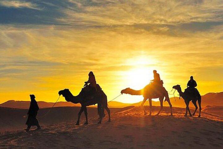 Agadir 2Hours Camel Riding with Tea Drink  - Image 5