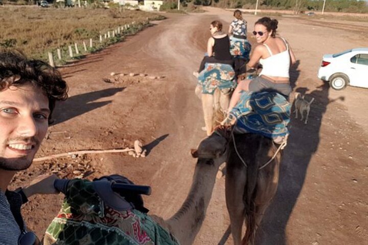 Agadir 2Hours Camel Riding with Tea Drink  - Image 2