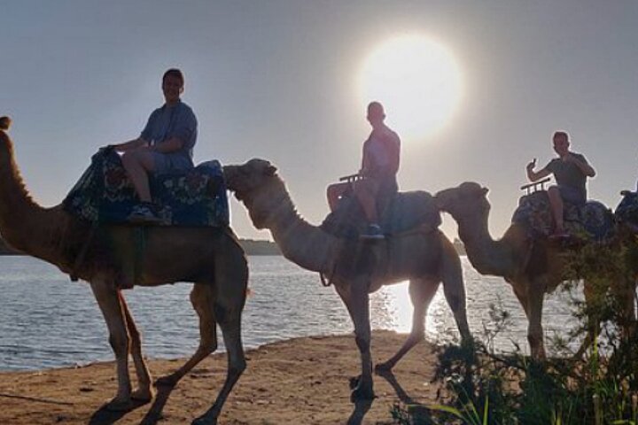 Agadir 2Hours Camel Riding with Tea Drink  - Image 1