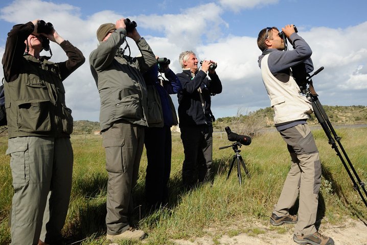 Agadir bird watching - Image 1