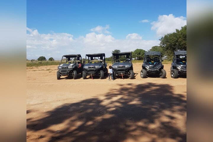 Agadir Buggy safari tour  - Image 2