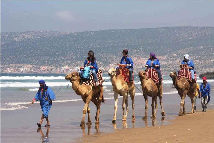 Agadir Camel ride  - Image 4