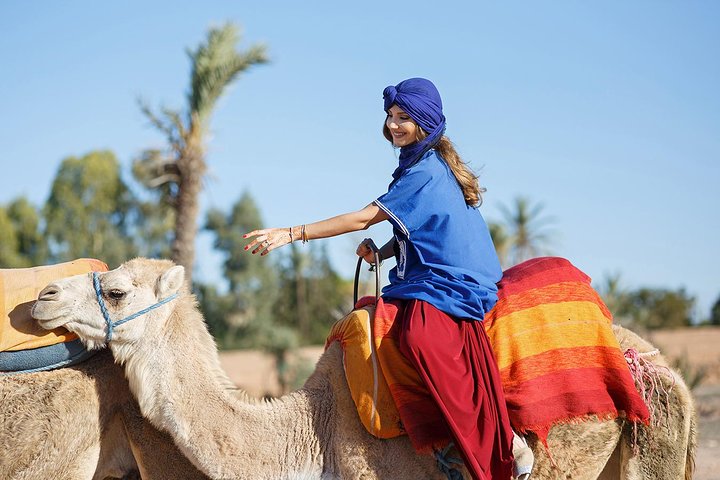 Agadir Camel ride  - Image 3