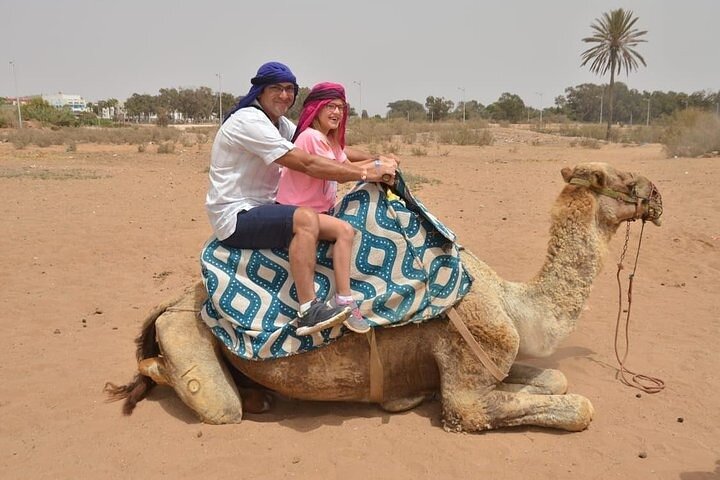 Agadir Camel Ride Experience  - Image 4