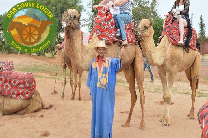 Agadir Camel Ride Experience  - Image 1