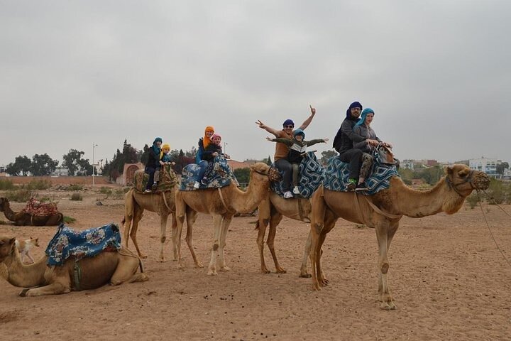 Agadir Camel Ride Experience  - Image 3