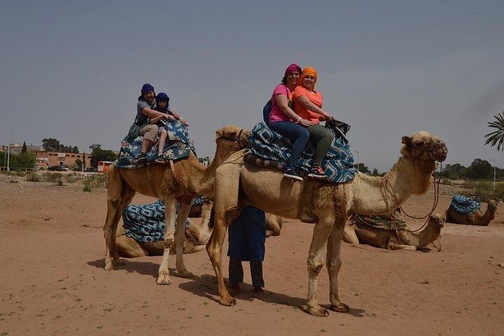 Agadir Camel Ride Experience  - Image 2