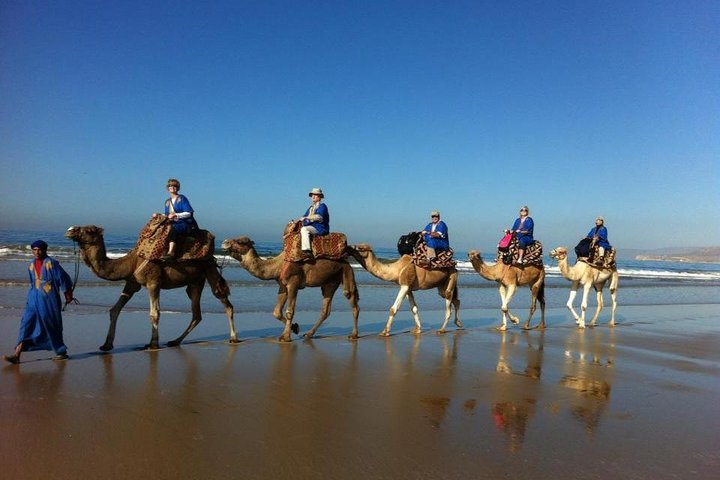 Agadir Camel Ride Flamingo River Sunset with Delicious Couscous & Barbecue - Image 1