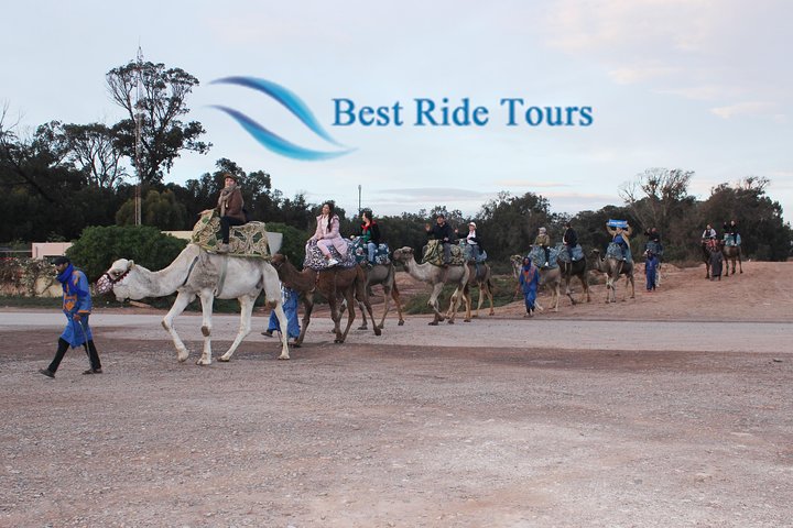 Agadir Camel Riding  - Image 2
