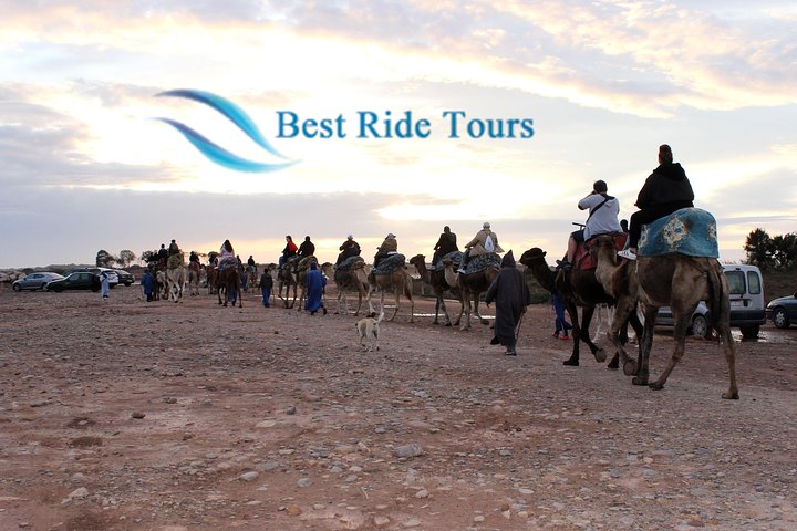 Agadir Camel Riding  - Image 1