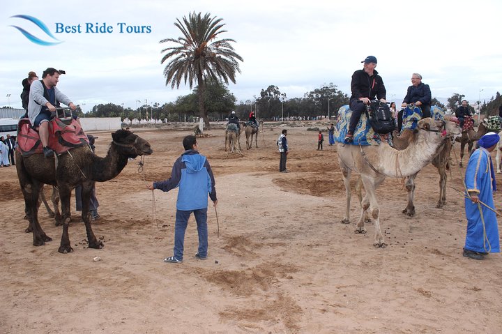 Agadir Camel Riding  - Image 4