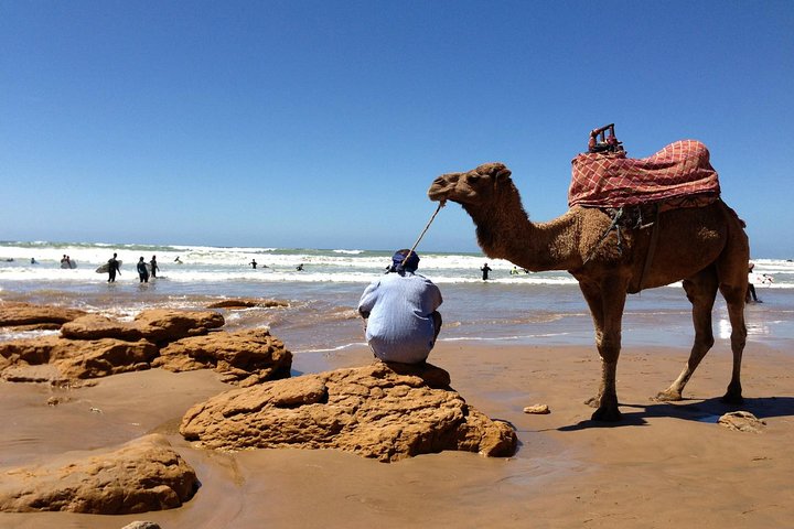 agadir camel Tour Ride 1hours & visite souk + kasbah agadir oufela  - Image 5