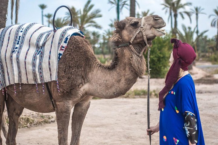 agadir camel Tour Ride 1hours & visite souk + kasbah agadir oufela  - Image 2