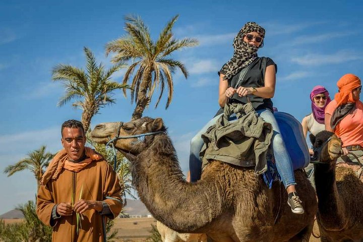 agadir camel Tour Ride 1hours & visite souk + kasbah agadir oufela  - Image 1