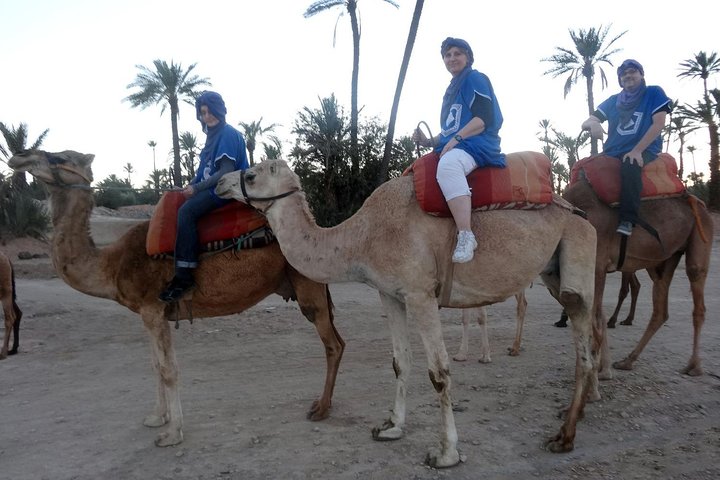 Agadir Camel tour transfer included  - Image 1