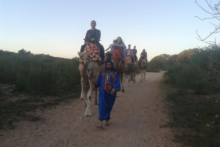 Agadir Camel tour transfer included  - Image 2
