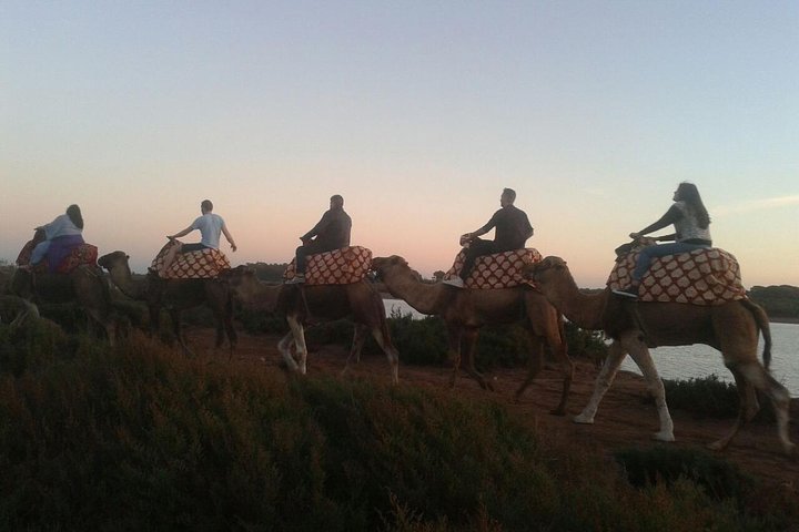 Agadir Camel tour transfer included  - Image 3