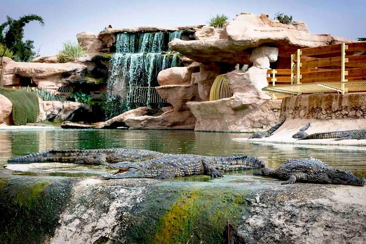 Agadir City Tour, Croco park, and Massage Hamam (Pack) - Image 2