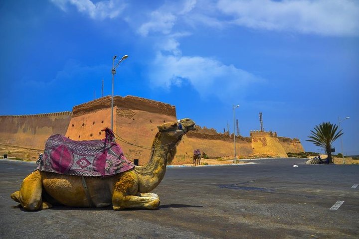 Agadir City Tour, Croco park, and Massage Hamam (Pack) - Image 1