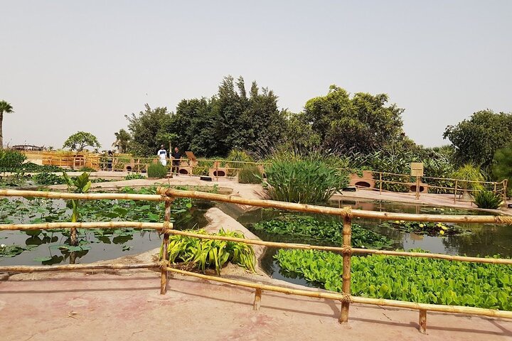  Agadir Crocodile Park Adventure - Image 4